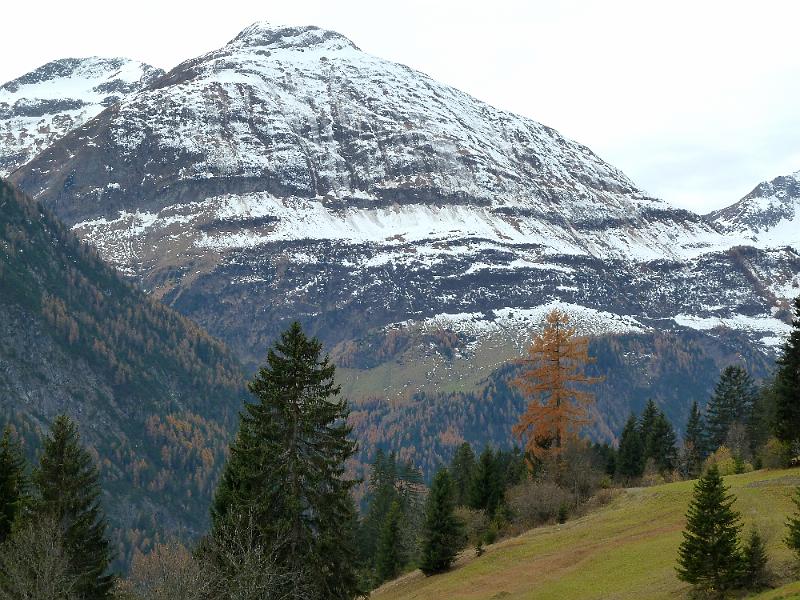 hoehenweg holzgau-steeg 4 pimig.jpg